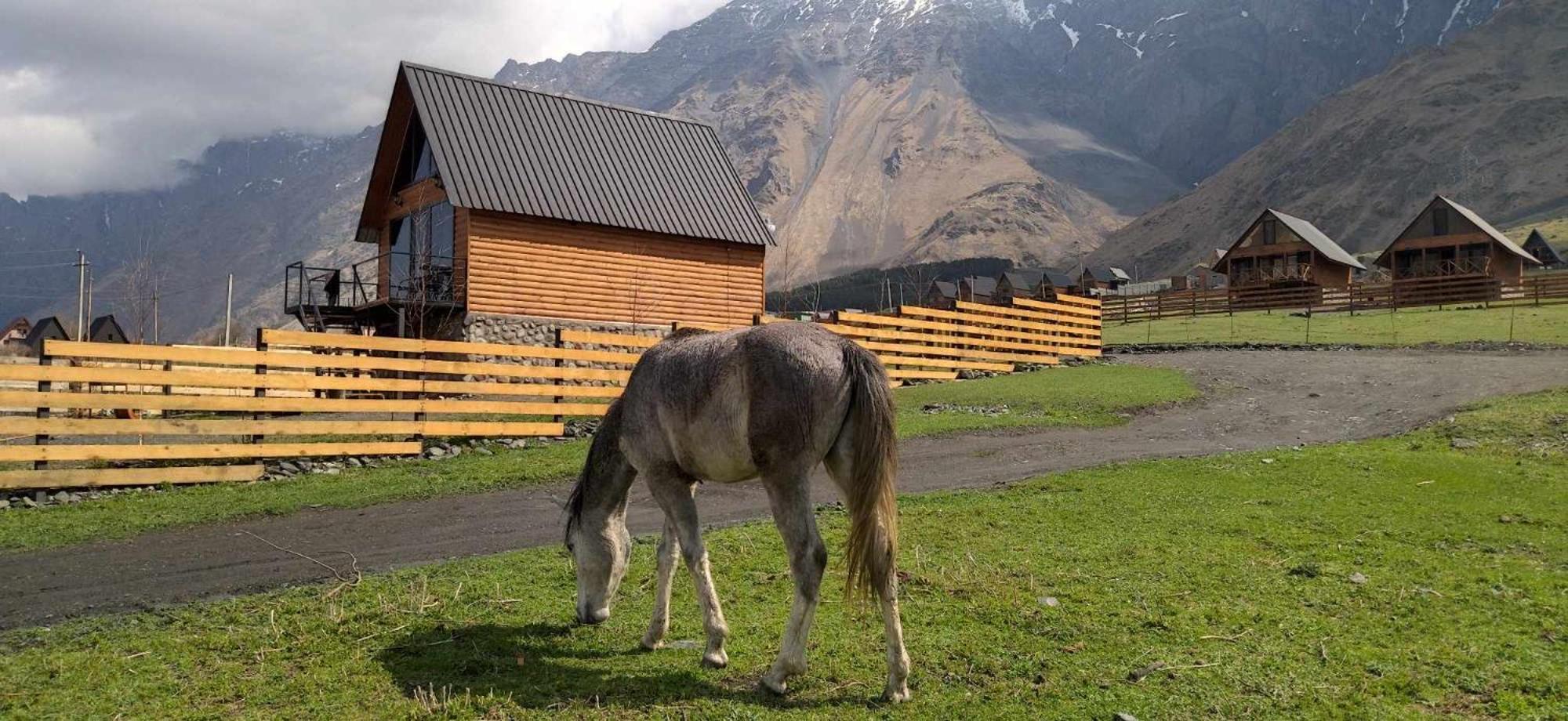 Traveler'S Cottages In Kazbegi Eksteriør bilde